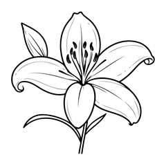 Wall Mural - Simple vector illustration of Lily drawing for kids colouring activity