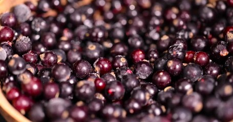 Wall Mural - Frozen black currant berries close-up, fresh frozen currants for long-term storage