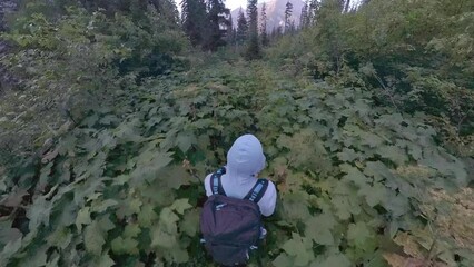 Poster - Overhead of Hiking Through Thick Plants lining trail to Bowman Lake in Glacier National Park