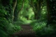 A forest path leading into the distance, lined with tall trees and lush green foliage Generative AI