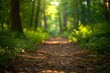 old forest path, wide angle view with a blurred background from a low camera perspective with high contrast under natural light, green foliage with a soft focus Generative AI