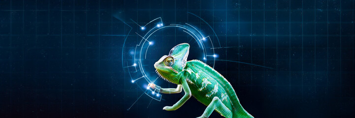 cyber chameleon interface animal connection