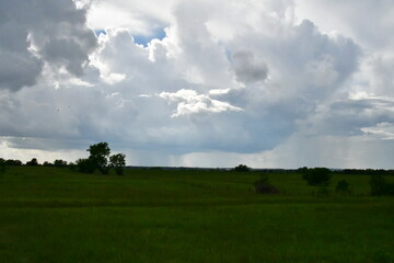 Wall Mural - Clouds Over a Field