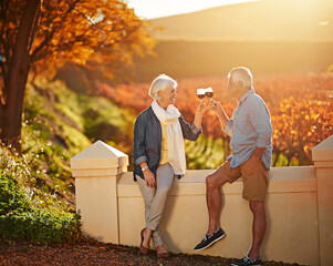 Wall Mural - Senior couple, glasses and toast in outdoor for love, romance and relax in vineyard or nature. Elderly people, cheers and drink alcohol on vacation, marriage and calm celebration on anniversary