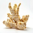 Fresh ginger root on a white background
