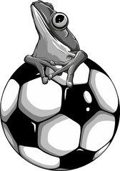 Wall Mural - vector illustration of monochrome frog sitting on football ball