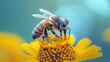 Honeybee on a flower Nature s diligent pollinator