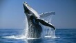 Majestic whale breaching in the blue ocean