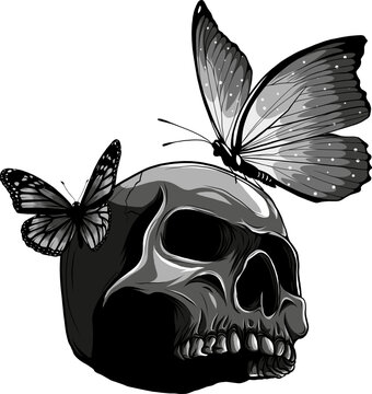 Skull with butterfly monochrome vector illustration isolated on white background.