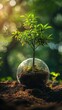 Growing tree inside glass ball on soil with blurred nature background.