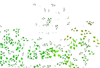 Poster - light green, yellow vector backdrop with abstract shapes.