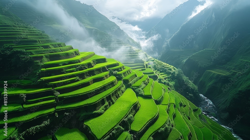 Amazing view of the rice terraces in Vietnam. The rice terraces are ...