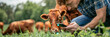 © Degimages - Farmer monitoring livestock with sensor technology, optimizing animal health in agriculture.