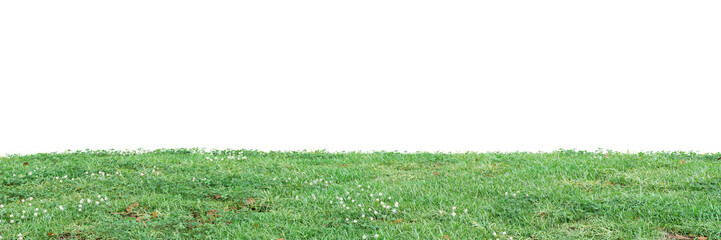 Wall Mural - Meadow cut out on transparent background 3d rendering