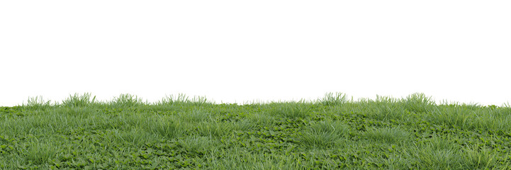 Wall Mural - Meadow cut out on transparent background 3d rendering
