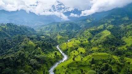 Wall Mural - Aerial view of the Rwenzori Mountains in Uganda, featuring the snow-capped peaks, lush valleys, and unique alpine vegetation.     