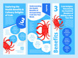 Crab food benefits healthy culinary delicious flyer poster design template set vector flat