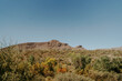 Cacti Near Rock Hill Against the Sky