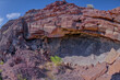 Crystal Mesa cliff cave in Petrified Forest AZ