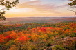 Vibrant Autumn: Exploring Nature's Palette in Fall Colors
