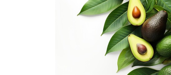 Poster - A tropical abstract background featuring an avocado and leaf on a white backdrop Presented in a flat lay style with a top view allowing for copy space in the image