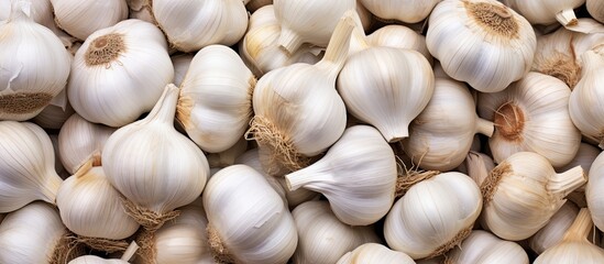 Aufkleber - A close up image showcasing numerous garlic bulbs during the harvest with ample copy space available