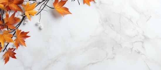 Sticker - White marble background with autumn natural decor and copy space image