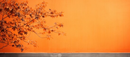 Poster - An orange wall is graced by the delicate gray shadows of maple tree leaves creating an abstract autumn background The overlay effect adds depth and emphasis to the image Ample copy space is provided