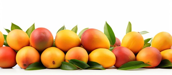 Poster - A copy space image of mangos placed on a clean white background