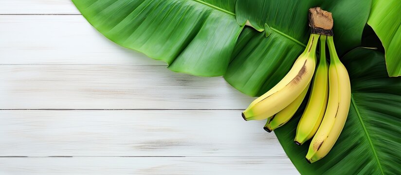 A tropical fruit the banana is placed on a white wooden table alongside vibrant green leaves The top view captures the scene offering free copy space for additional elements