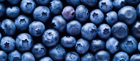 Poster - A vibrant background of fresh juicy blueberries arranged in a flat lay view with plenty of copy space This image showcases the healthy and organic nature of these antioxidant rich berries which are p