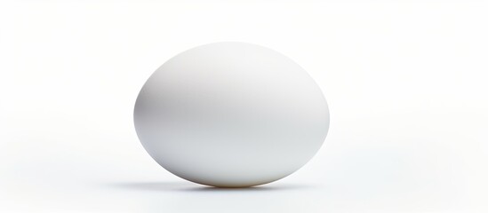 Poster - A white egg with shadow isolated on a white background in a close up copy space image