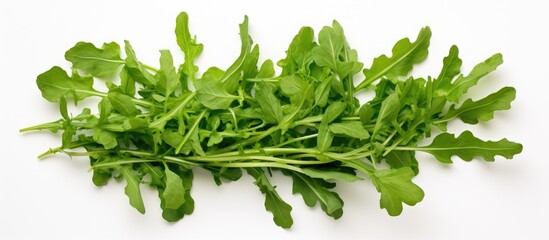Poster - Top view of a rucola or arugula leaf isolated on a white background creating a flat lay pattern with ample copy space for your text