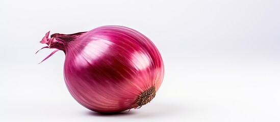 Poster - A red onion stands alone on a white background in this copy space image