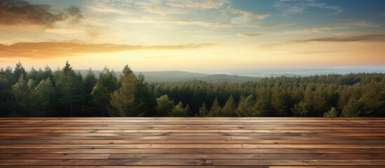 Poster - Evening view of a wood floor blending with the forest under a sky full of visual copy space