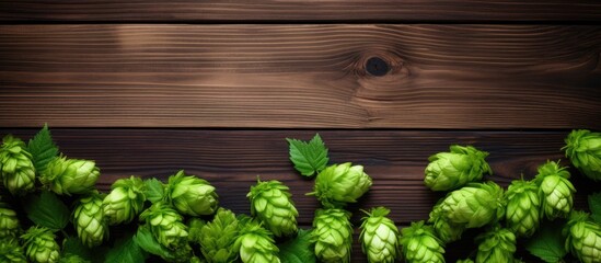 Poster - Top view of fresh green hops on a wooden table with ample space for adding text in the image