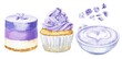 Lavender cake desserts watercolor hand painted illustration set