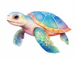 Turtle isolated on a white background. Watercolor sea turtle illustration. Underwater reptile clipart.