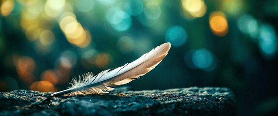 feather on a stone bokeh background