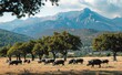 Majestic Spanish Landscape with Grazing Wild Pigs Under Trees - Generative AI