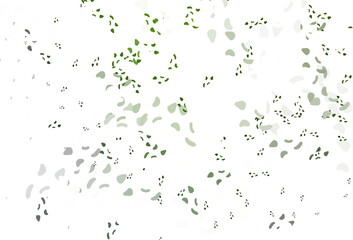Poster - light green vector background with abstract forms.