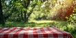 © Coosh448 - Checkered picnic red table cloth table on natural background. illustration