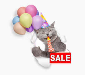 Aufkleber - Happy cat wearing party cap blows in party horn, looks through the hole in white paper, shows signboard with labeled 