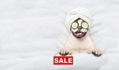 Wall Mural - Funny Pug puppy with towel on his head, with cream on his face and with a piece of cucumber on his eyes relaxing on the bed at home and holding signboard with labeled 