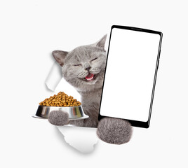 Poster - Happy cat looks through a hole in white paper, holds bowl of pets dry food and  shows smartphone with white blank screen in it paw, Empty free space for mock up, banner