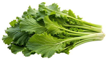 cluster of Mustard Greens isolated on white background