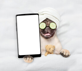 Fototapete - Funny Pug puppy with towel on it head and with a piece of cucumber on it eyes relaxing on the bed at home and showing big smartphone with white blank screen in it paw. Top down view