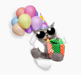 Aufkleber - Happy cat wearing party cap blows in party horn and holds balloons with gift box and looks through the hole in white paper