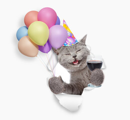 Aufkleber - Happy cat wearing party cap holding balloons and glass of red wine, looking through the hole in white paper