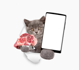 Poster - Kitten looks through a hole in white paper, holds bowl with raw meat and shows smartphone with white blank screen in it paw. Empty free space for mock up, banner